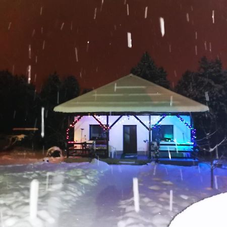 Limpedea Green House Μπάια Μάρε Εξωτερικό φωτογραφία