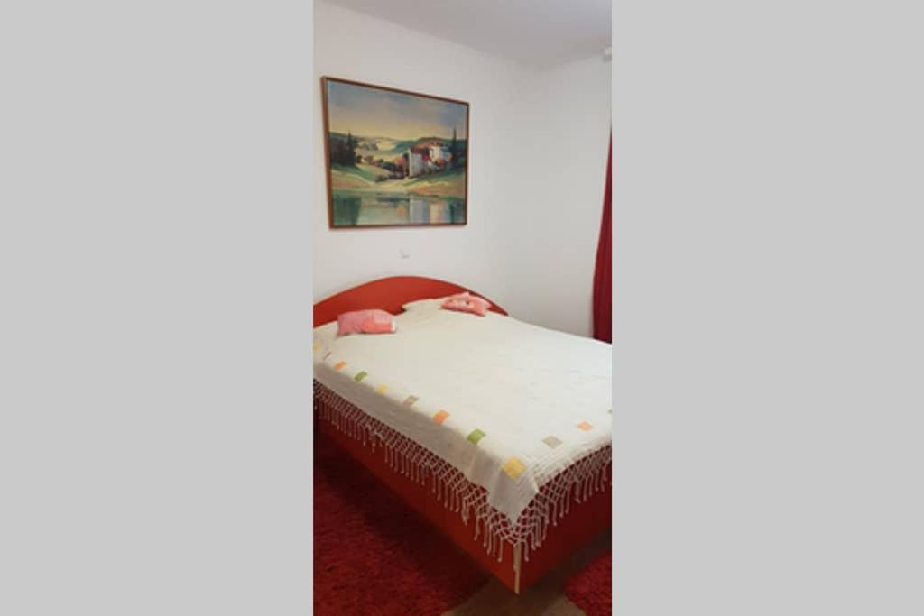 Limpedea Green House Μπάια Μάρε Εξωτερικό φωτογραφία