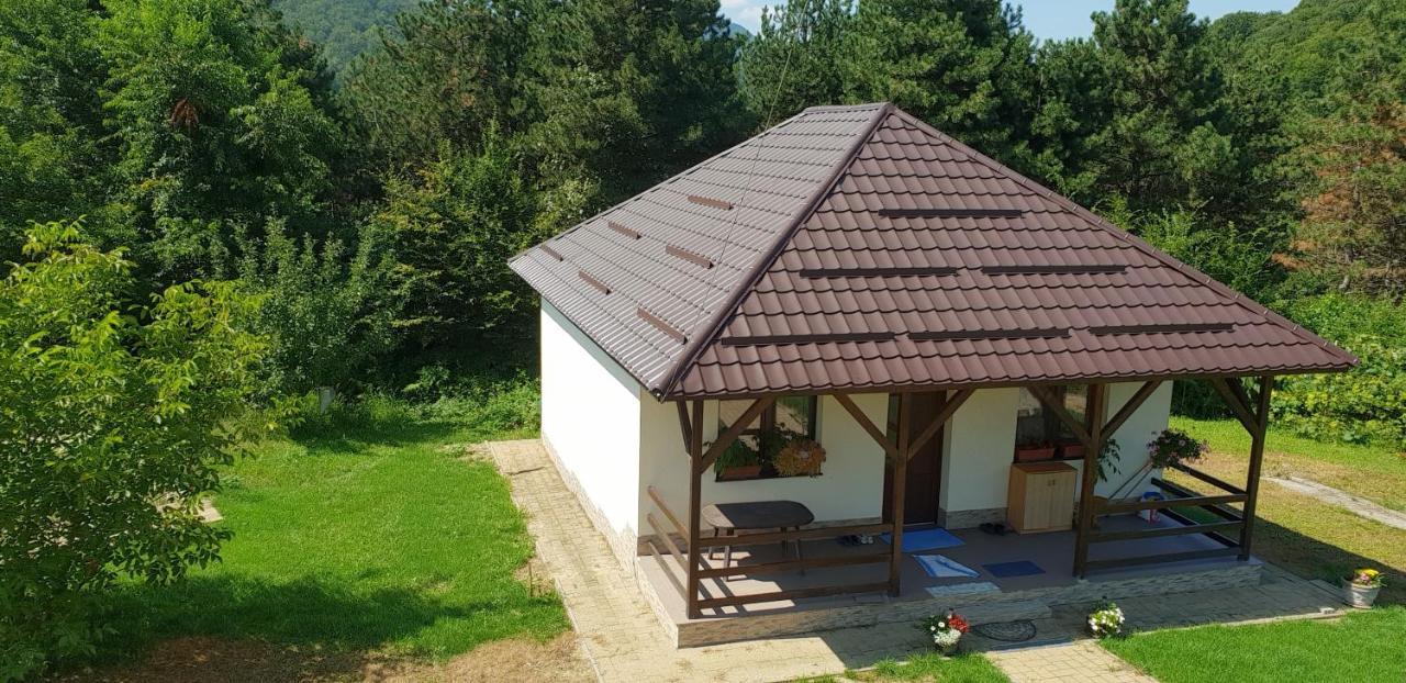 Limpedea Green House Μπάια Μάρε Εξωτερικό φωτογραφία