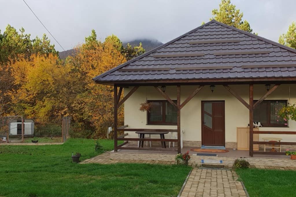 Limpedea Green House Μπάια Μάρε Εξωτερικό φωτογραφία