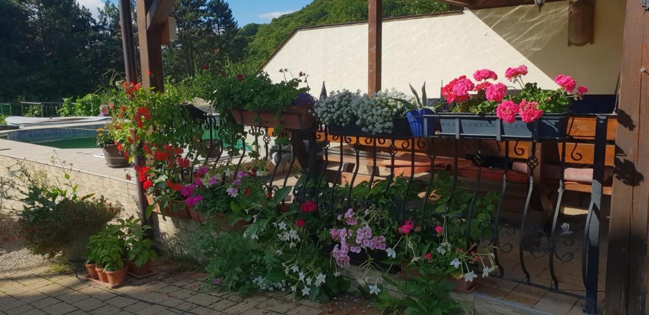 Limpedea Green House Μπάια Μάρε Εξωτερικό φωτογραφία