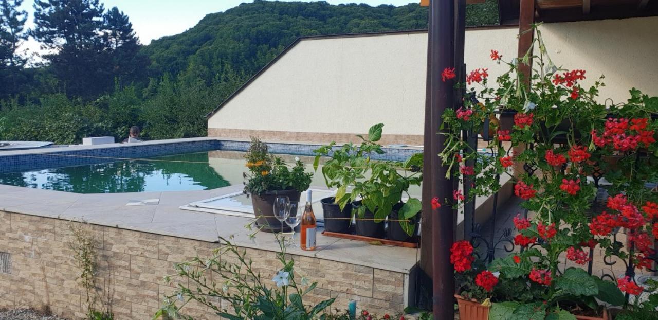 Limpedea Green House Μπάια Μάρε Εξωτερικό φωτογραφία