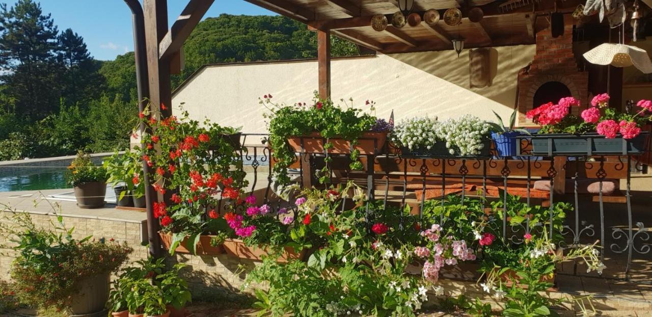 Limpedea Green House Μπάια Μάρε Εξωτερικό φωτογραφία